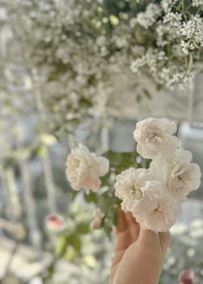 Những bông hoa rực rỡ khoe sắc màu khiến nữ MC mê mẩn, ngắm hoa quên cả ăn.