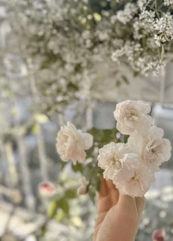 Những bông hoa rực rỡ khoe sắc màu khiến nữ MC mê mẩn, ngắm hoa quên cả ăn.