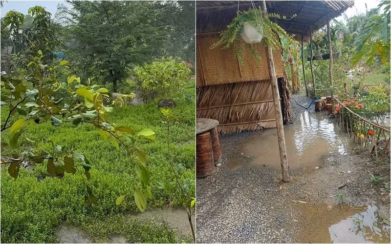 Mới đây, tài tử Huỳnh Anh Tuấn chia sẻ cảnh chòi lá của mình ngập nước khi trời mưa to.