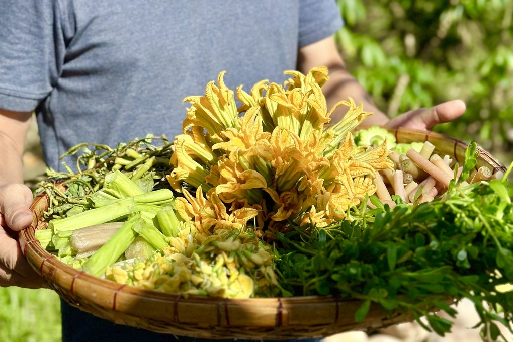 Các loại rau do chính tay nam diễn viên trồng trong vườn nhà. Nguồn ảnh: chụp màn hình clip