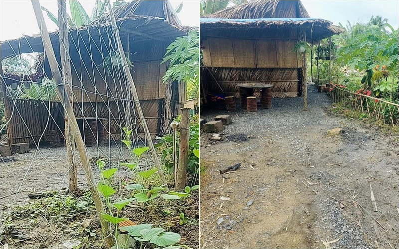 Tuy nhiên, nhiều khán giả lại thi nhau thổ lộ ước được như anh: "Ước gì có vài chục tỷ về vườn ở như anh Tuấn không bon chen với đời"...