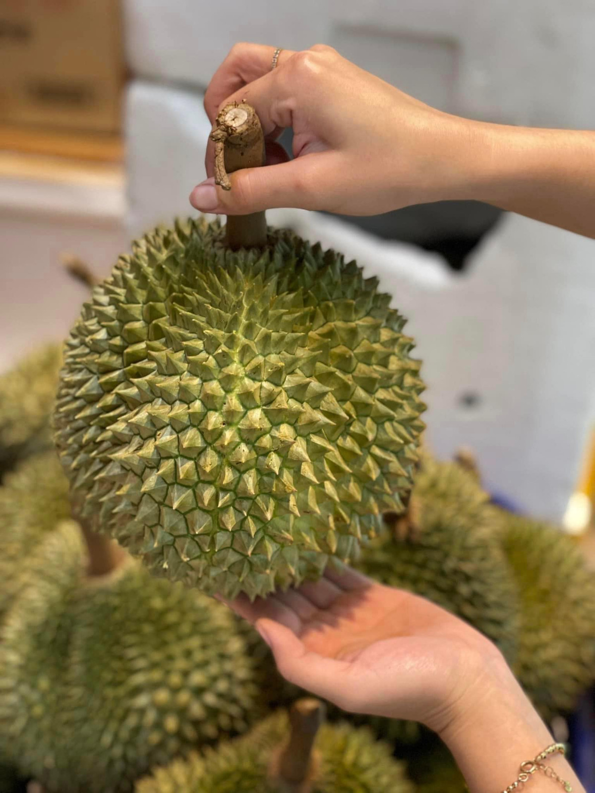 Quả sầu riêng gai đen hình tròn, có trọng lượng trung bình từ 1,8-2,5kg/trái. Ảnh: Facebook