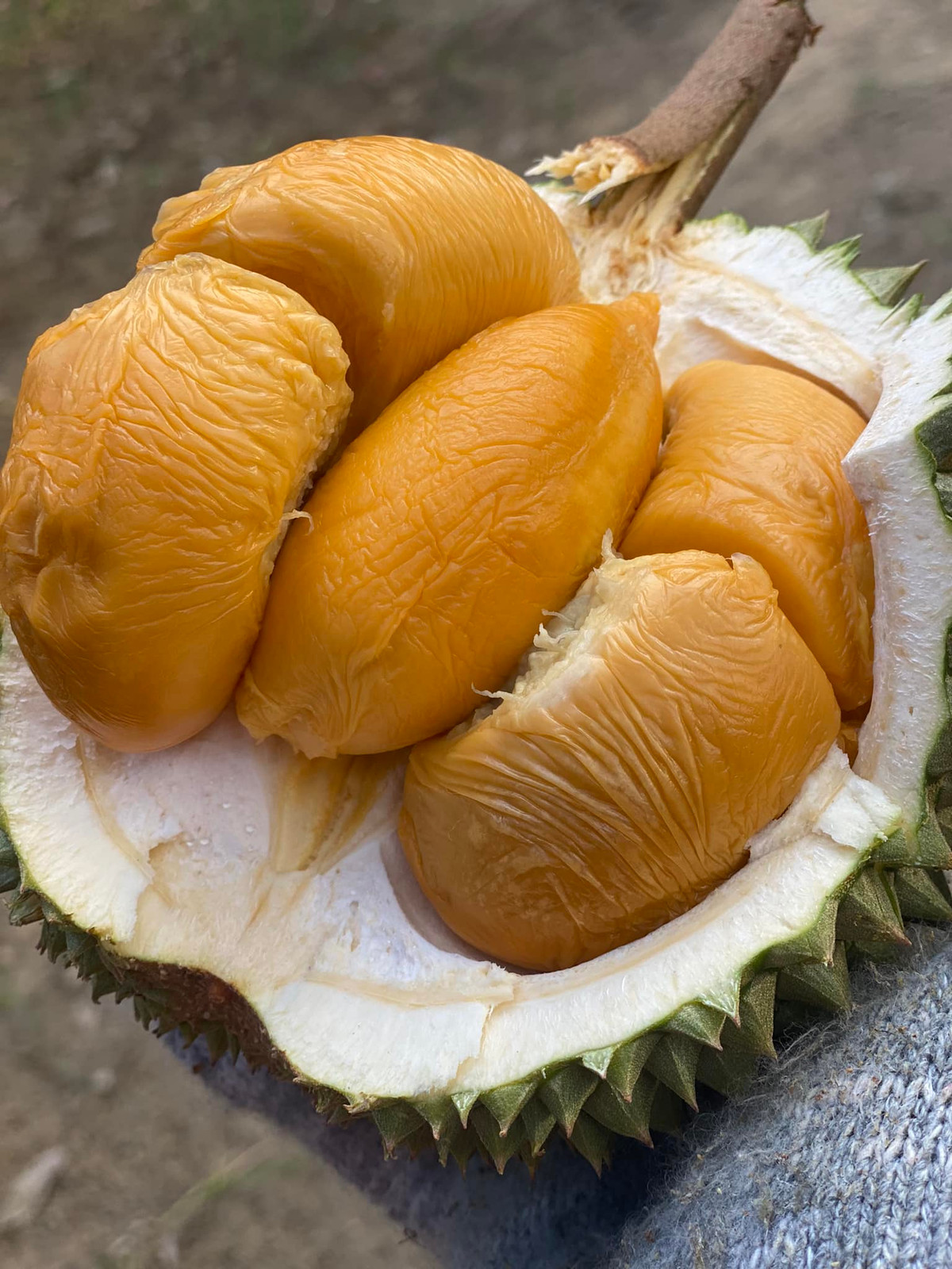 Theo các chủ cửa hàng, Black Thorn Việt Nam đang trồng thử nghiệm nên sản lượng còn ít. Mỗi nhà vườn chỉ cung cấp khoảng 50-100 kg một đợt nên không đủ đáp ứng nhu cầu của khách. Ảnh: Facebook