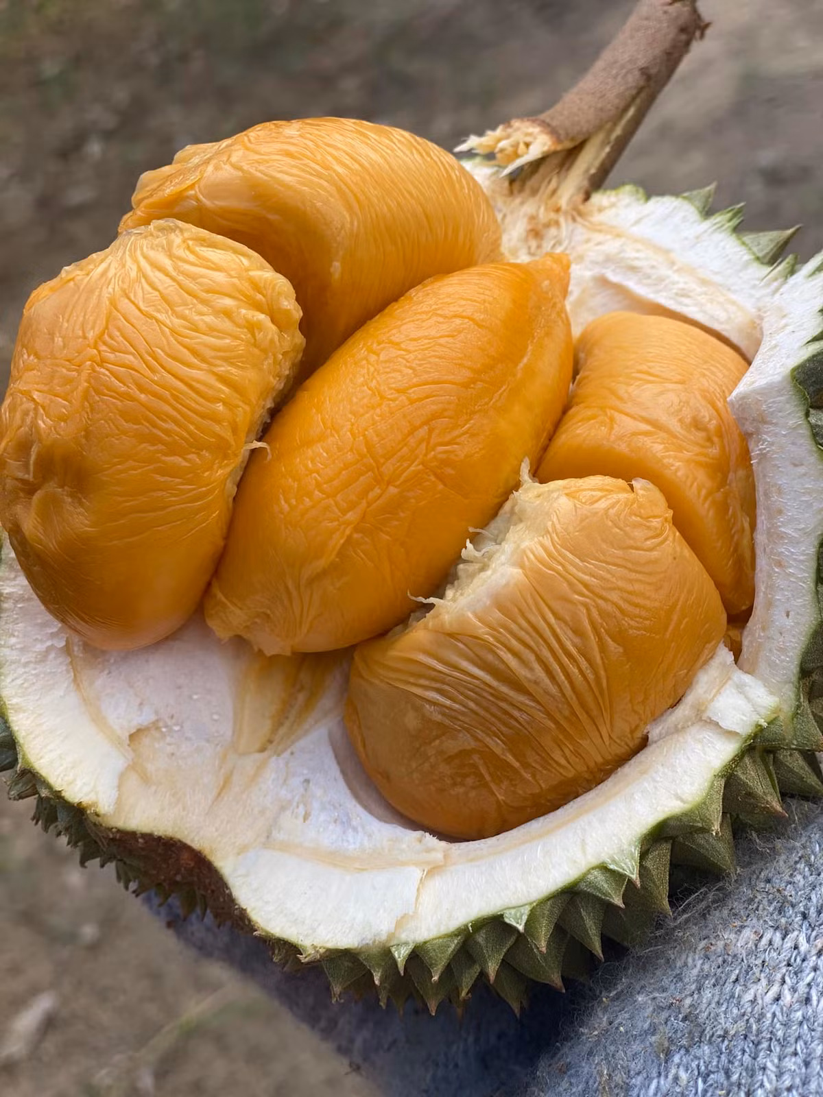 Theo các chủ cửa hàng, Black Thorn Việt Nam đang trồng thử nghiệm nên sản lượng còn ít. Mỗi nhà vườn chỉ cung cấp khoảng 50-100 kg một đợt nên không đủ đáp ứng nhu cầu của khách. Ảnh: Facebook