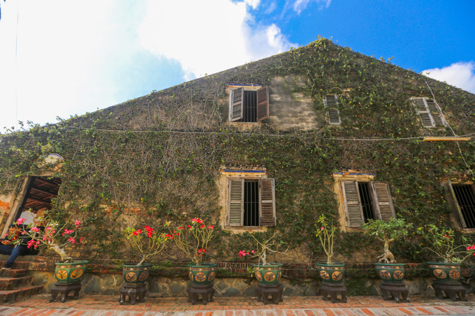 Đây leo phủ khắp tường nhà. Ảnh: Tayinhtoday