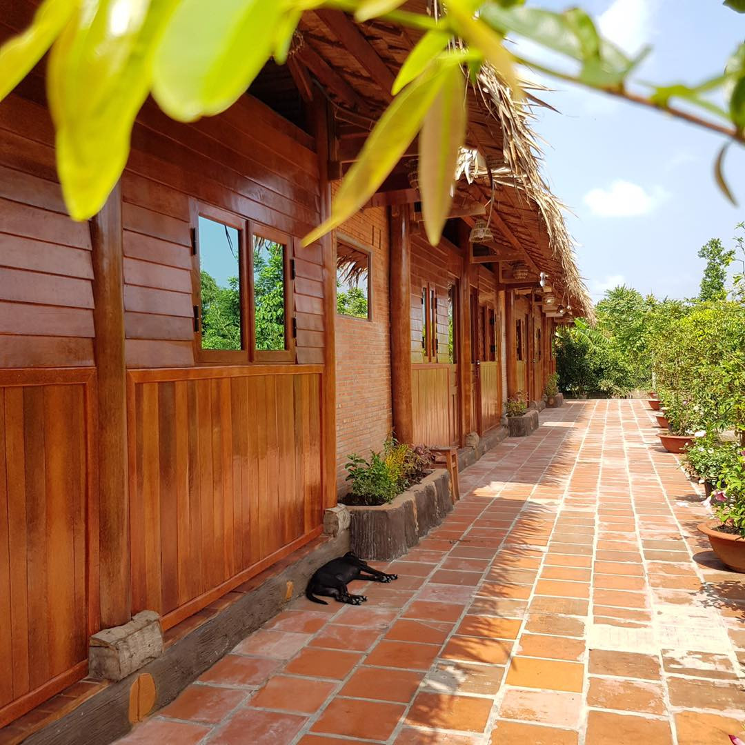 Năm 2009, sau khi bàn bạc, cả gia đình ông bắt tay vào quy hoạch khu đất rộng 4.000m2 để trồng cây dừa theo hàng lối, tạo cảnh quan đẹp mắt xung quanh nhà. Ảnh: Facebook