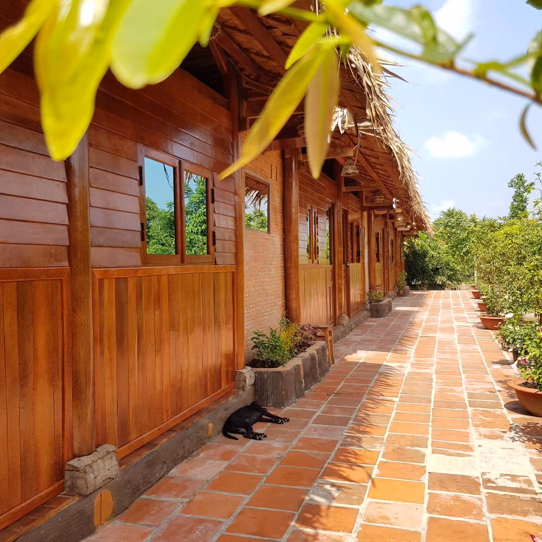 Năm 2009, sau khi bàn bạc, cả gia đình ông bắt tay vào quy hoạch khu đất rộng 4.000m2 để trồng cây dừa theo hàng lối, tạo cảnh quan đẹp mắt xung quanh nhà. Ảnh: Facebook