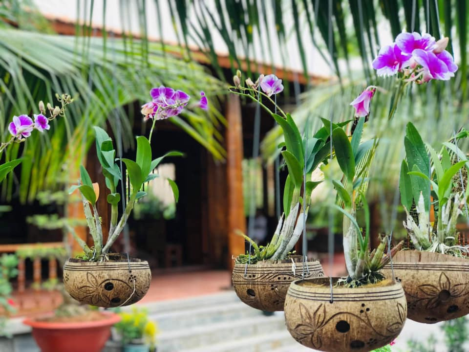 Cây dừa được ngâm nước suốt 1 năm rồi xử lý thuốc mối mọt kỹ lưỡng. Nhờ đó cây có độ bền rất cao, không kém chất liệu từ bê tông cốt thép. Ảnh: Facebook