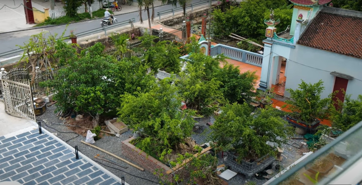 Trong khuôn viên sân vườn rộng rãi có rất nhiều cây bonsai đẹp mắt.