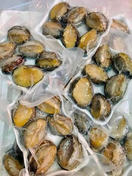 Trong đó, bào ngư nhập khẩu to hơn bàn tay người lớn (2 - 3 con/kg) có giá 6,5 triệu đồng/kg cũng rất hút khách, đắt gấp 10 lần bào ngư trong nước. Ảnh: Facebook