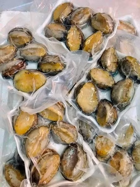 Trong đó, bào ngư nhập khẩu to hơn bàn tay người lớn (2 - 3 con/kg) có giá 6,5 triệu đồng/kg cũng rất hút khách, đắt gấp 10 lần bào ngư trong nước. Ảnh: Facebook