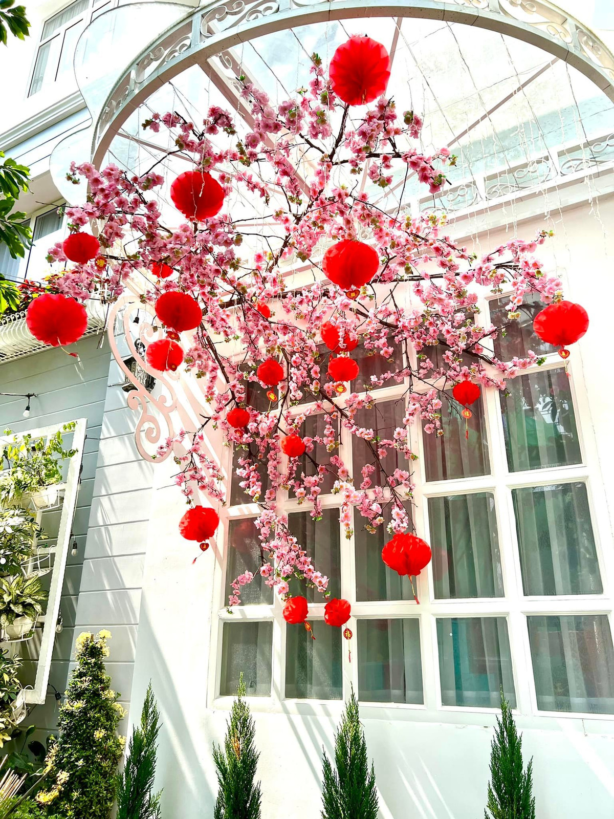 Hai mặt tiền đều treo cành đào giả và đèn lồng đỏ.