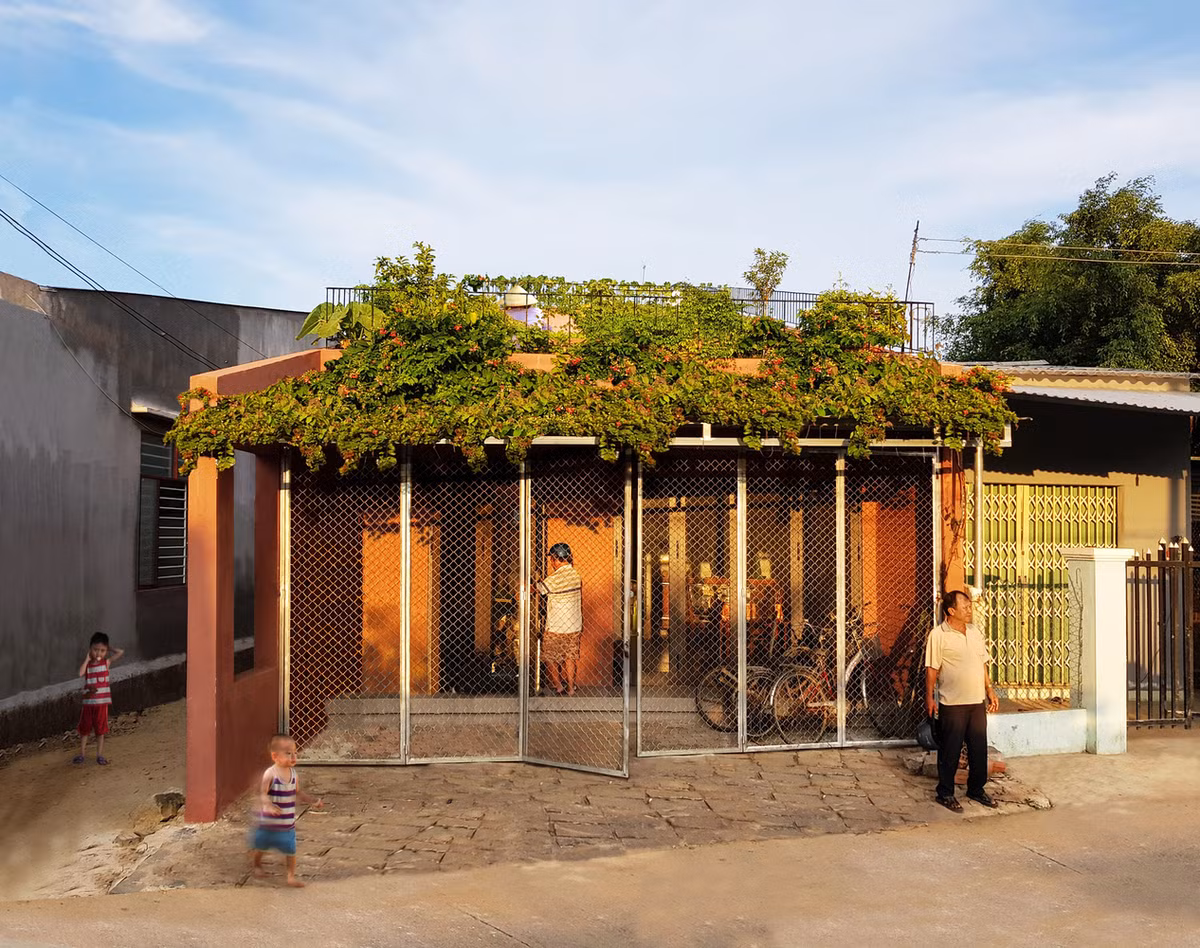 Dua vuon rau bac thang len mai, nha Viet khien bao My “sung so“