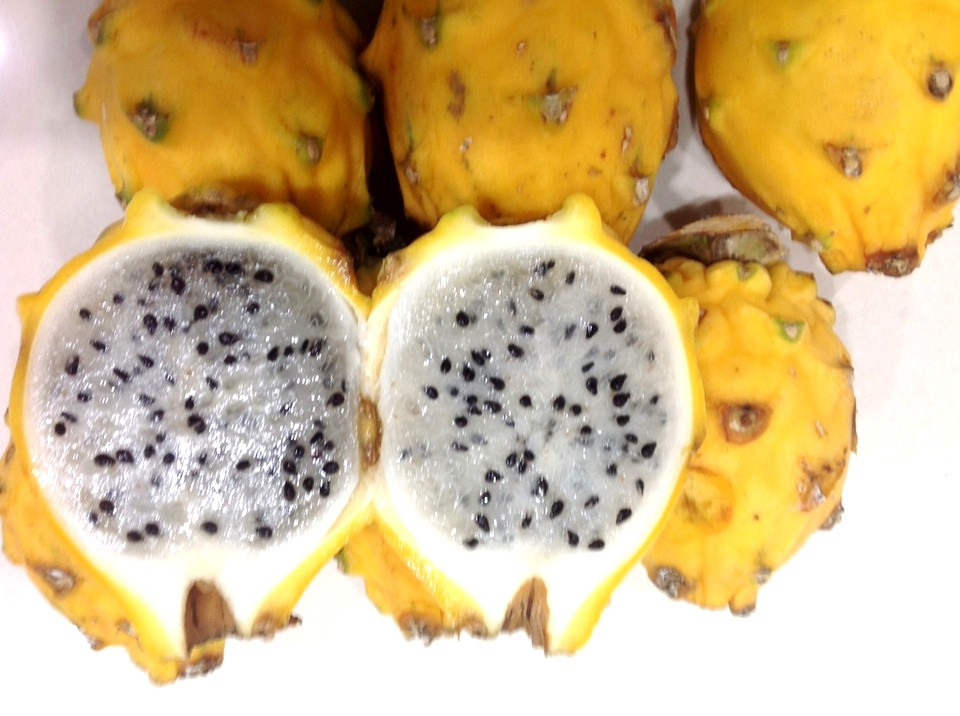 Trái thanh long tổ yến khá nhỏ, vỏ màu vàng bắt mắt, phần ruột có màu trắng. Ảnh: Dân Việt