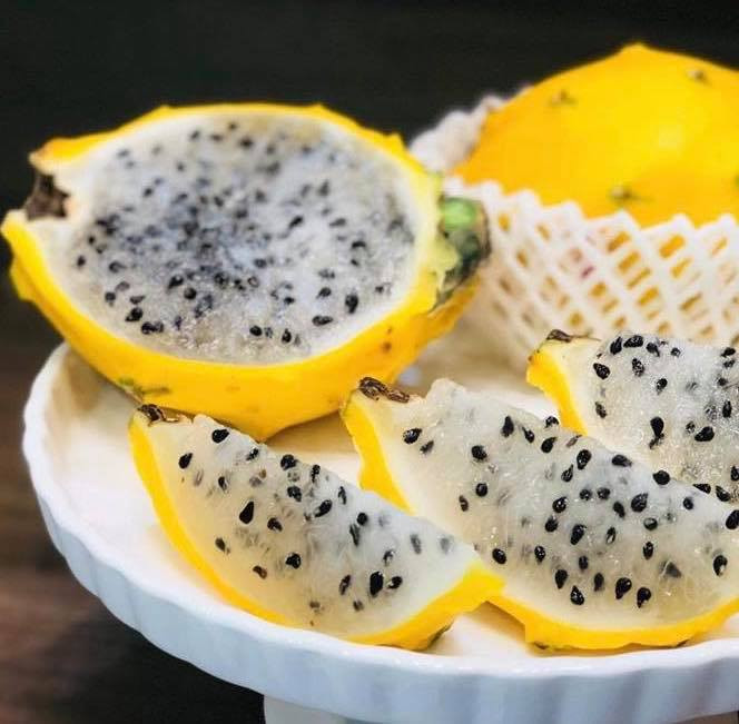 Hiện tại, sản lượng thanh long tổ yến không cao nên nhà vườn không đủ cung cấp cho khách hàng. Ảnh: HoanglongGarden