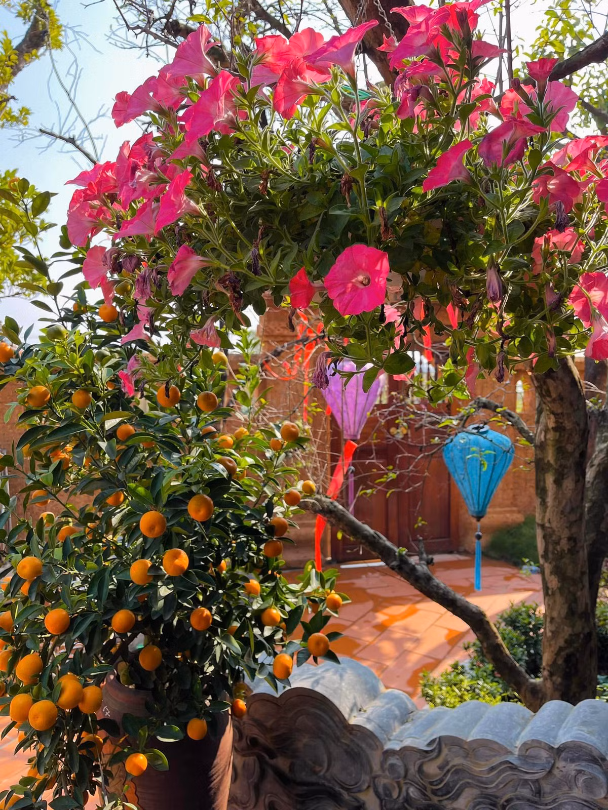 Ngoài cây ăn quả, trong biệt thự còn có nhiều hoa tươi.