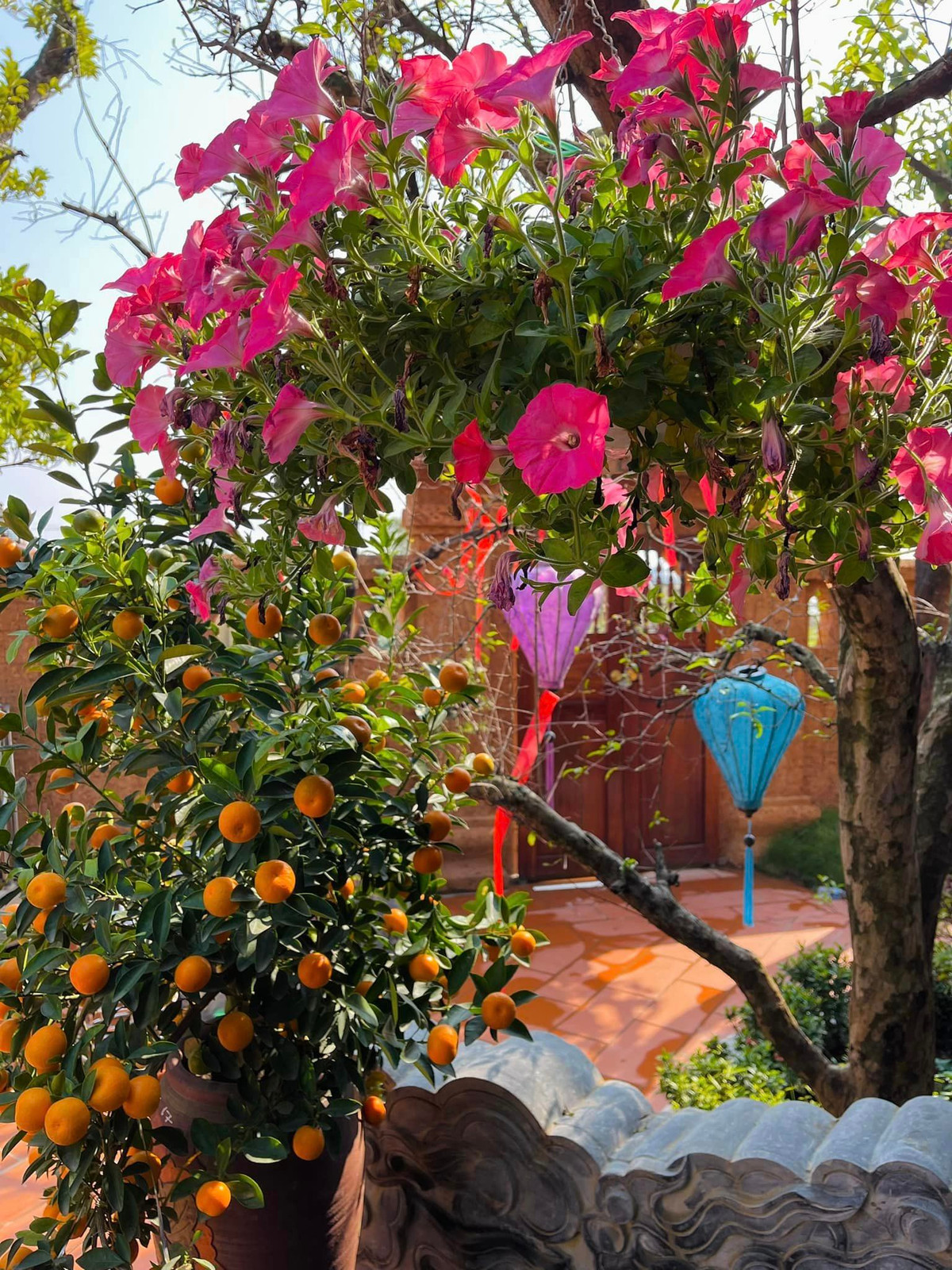 Ngoài cây ăn quả, trong biệt thự còn có nhiều hoa tươi.