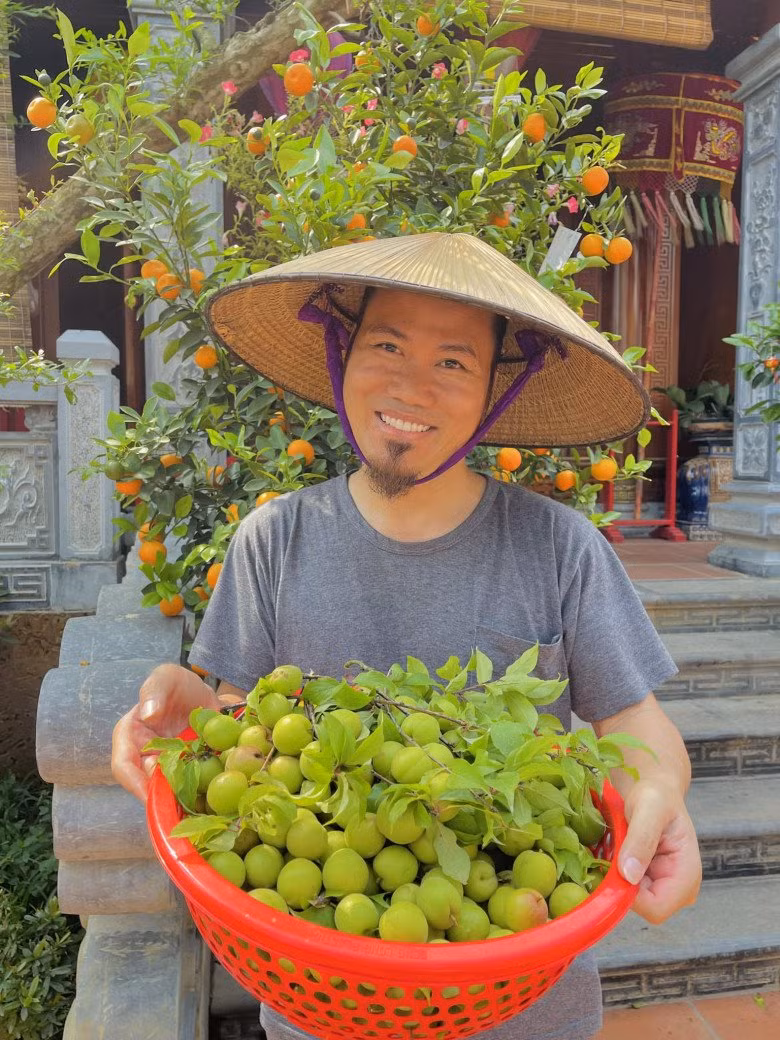 Mới đây, nam nghệ sĩ khoe cảnh thu hoạch mơ trong biệt phủ khiến ai nấy đều ngưỡng mộ. Chỉ mới đầu mùa nhưng nghệ sĩ Vượng Râu đã thu hoạch được cả rổ mơ đầy.