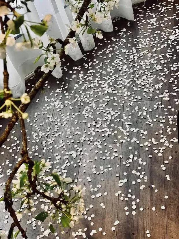 Mùa xuân, Ngọc Trinh trang trí không gian sống bằng cành lê trắng.