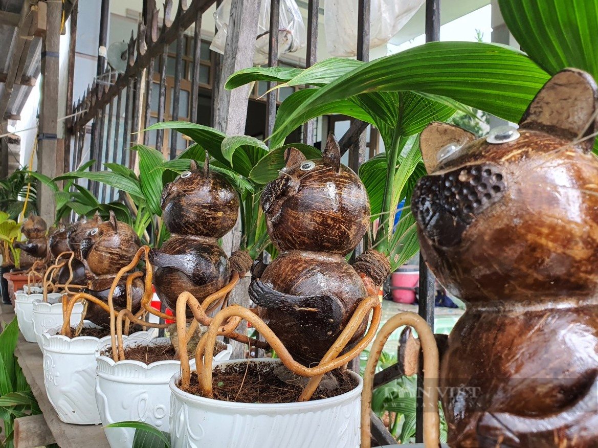 Phần lớn các chậu dừa bonsai hình mèo đều đã được khách hàng đặt trước làm quà Tết hoặc chơi trong dịp Tết Nguyên đán. Ảnh: Dân Việt