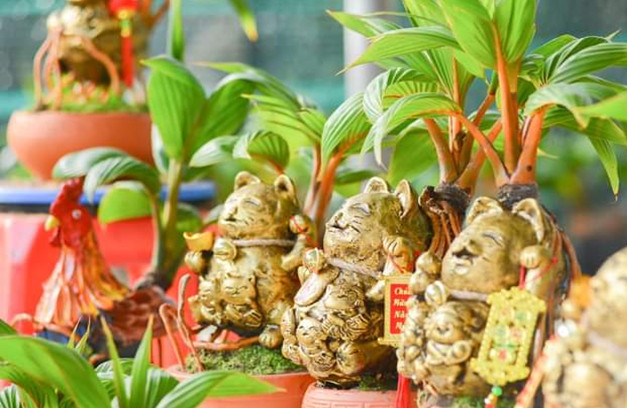 Những cây bonsai dừa mini tạo hình linh vật mèo có giá dao động từ 600.000 - 1,5 triệu đồng/sản phẩm. Ảnh: Công luận