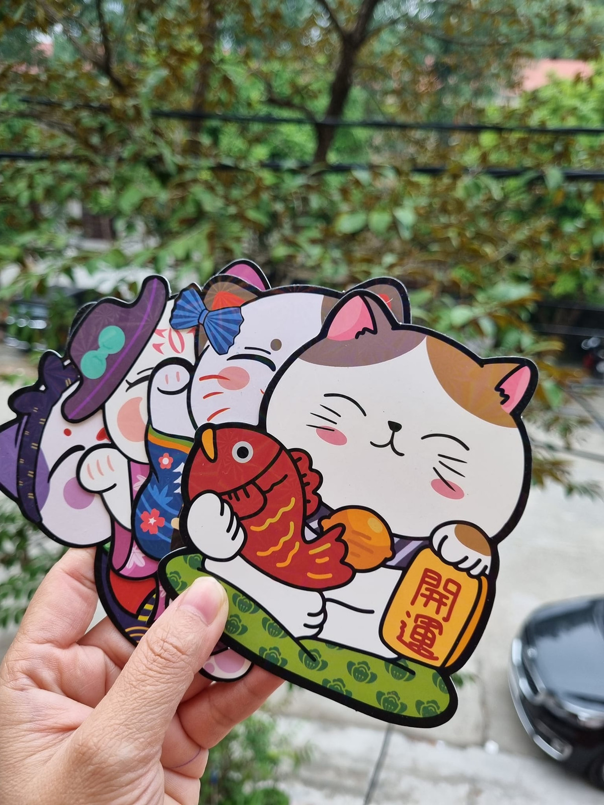 Mẫu phong bao lì xì rất đa dạng, từ trang nhã, lịch sự tới các mẫu mã dễ thương, tất cả đều có in hình chú mèo ngộ nghĩnh. Ảnh: Facebook