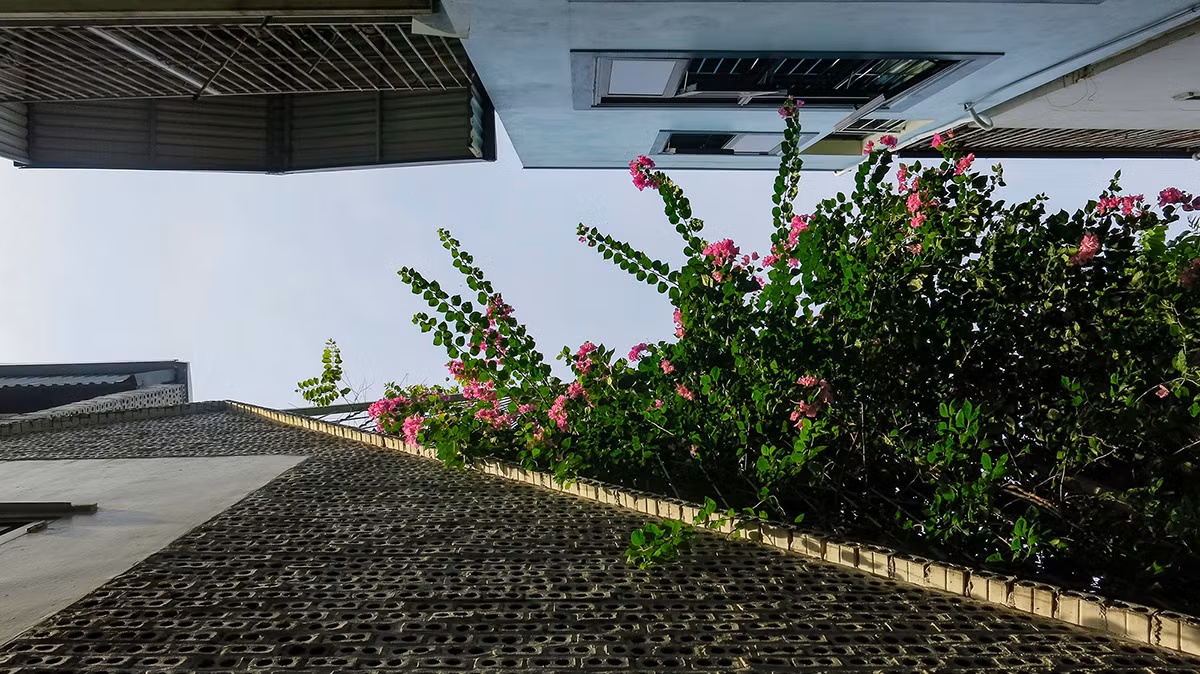 Một giải pháp nhằm giảm thiểu tối đa tình trạng bê tông hoá là sử dụng tường gạch lỗ và hệ thống giàn cây leo bên ngoài mặt tiền.