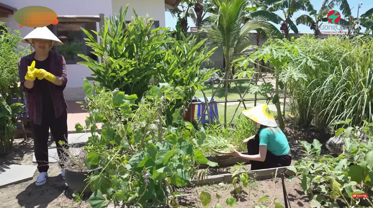 Đặc biệt, tất cả các loại cây trong vườn đều được Trường Giang trồng theo sở thích của Nhã Phương. Ảnh: FBNV