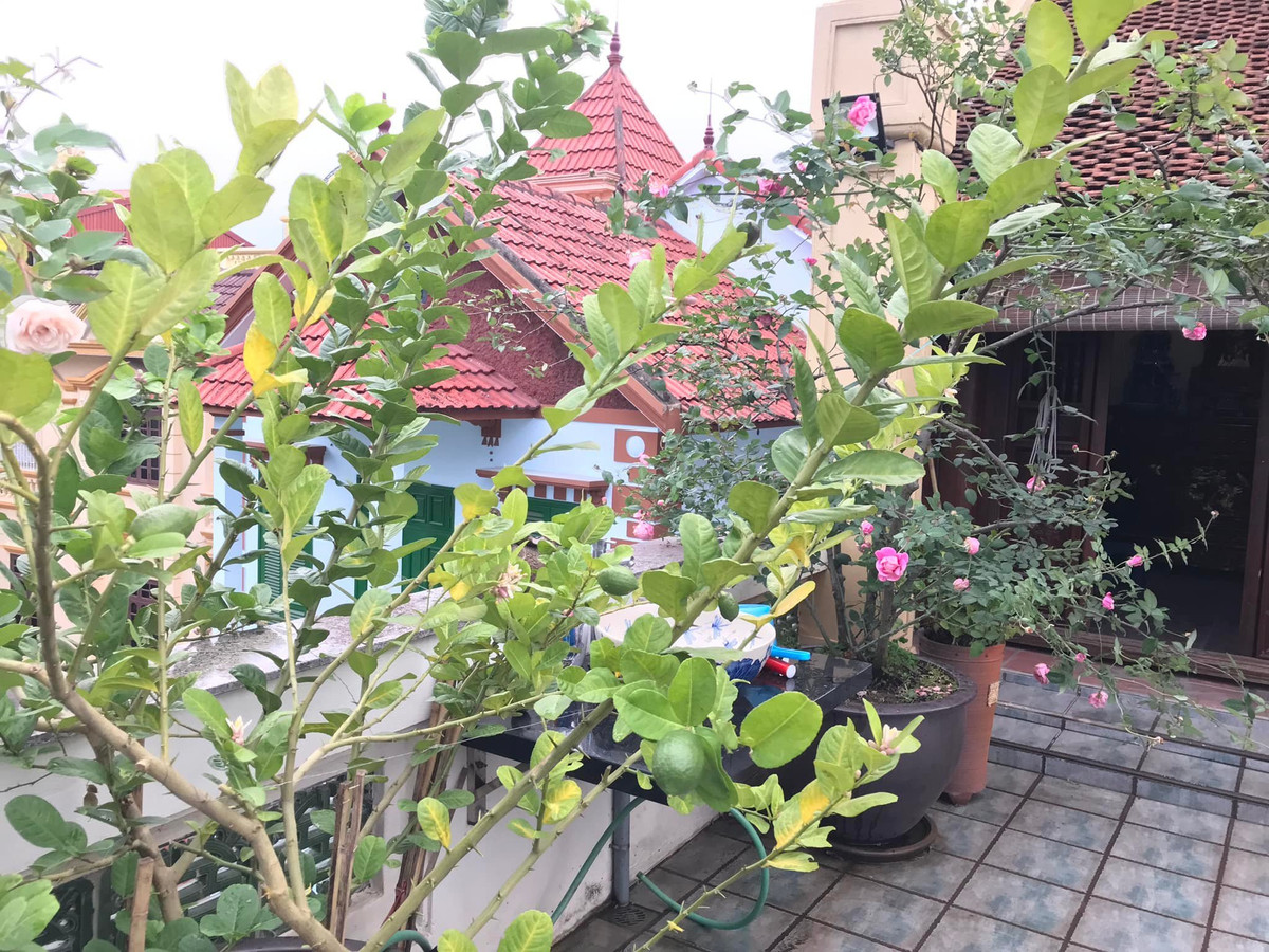 Ngôi nhà được vợ chồng nghệ sĩ mua để dành hơn 20 năm nay. Đặc biệt, dù vẫn là nhà phố, nhưng nó lại được thiết kế theo phong cách truyền thống. Ảnh: Vietnamnet