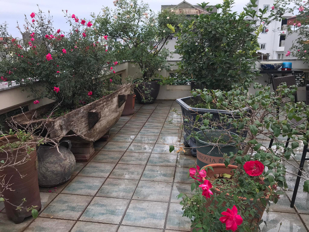 Chỉ một cây ra nhành hoa, đậu chút quả cũng đủ khiến NSND Lê Khanh vui cả ngày. Ảnh: Công lý &amp; xã hội