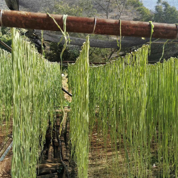 Để bảo quản được lâu, rau tiến vua thường được phơi khô. Ảnh: Internet