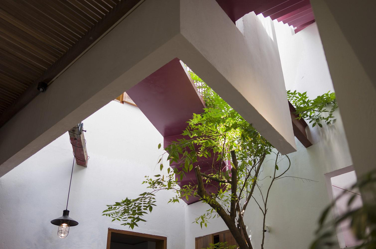 Mảng xanh trong bếp, ngay dưới giếng trời, có các loại cây mọc thẳng đứng vươn ra các không gian bên trong khác ở các tầng trên, mang nắng, gió và thiên nhiên đến khắp nhà.