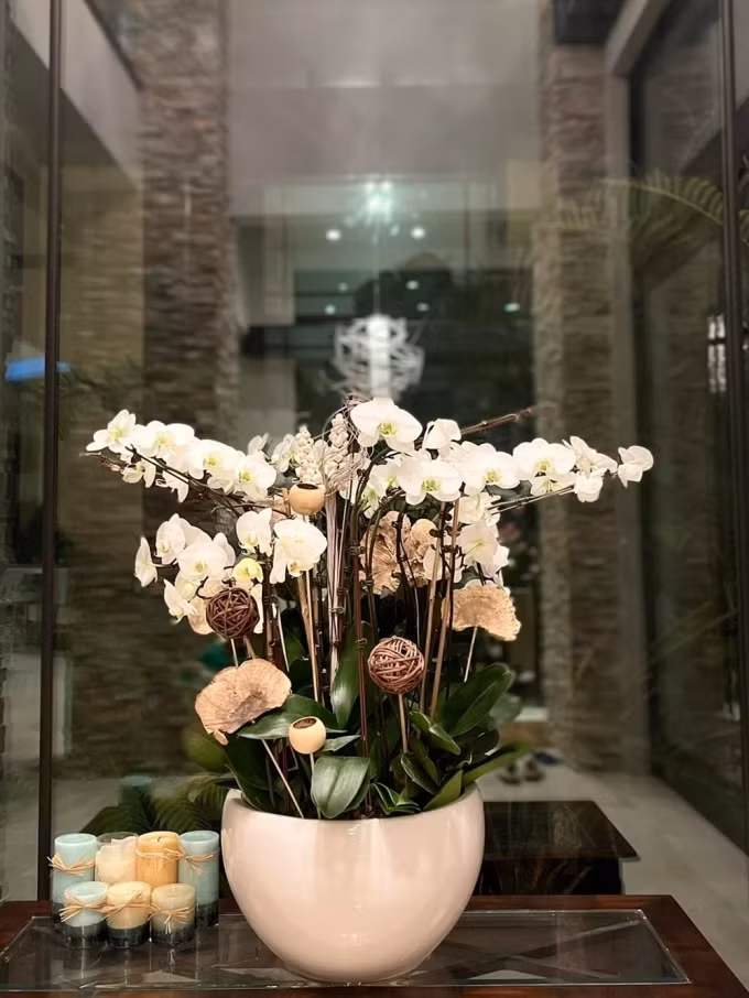 Nữ doanh nhân thích nhất hoa lan và thủy tiên.