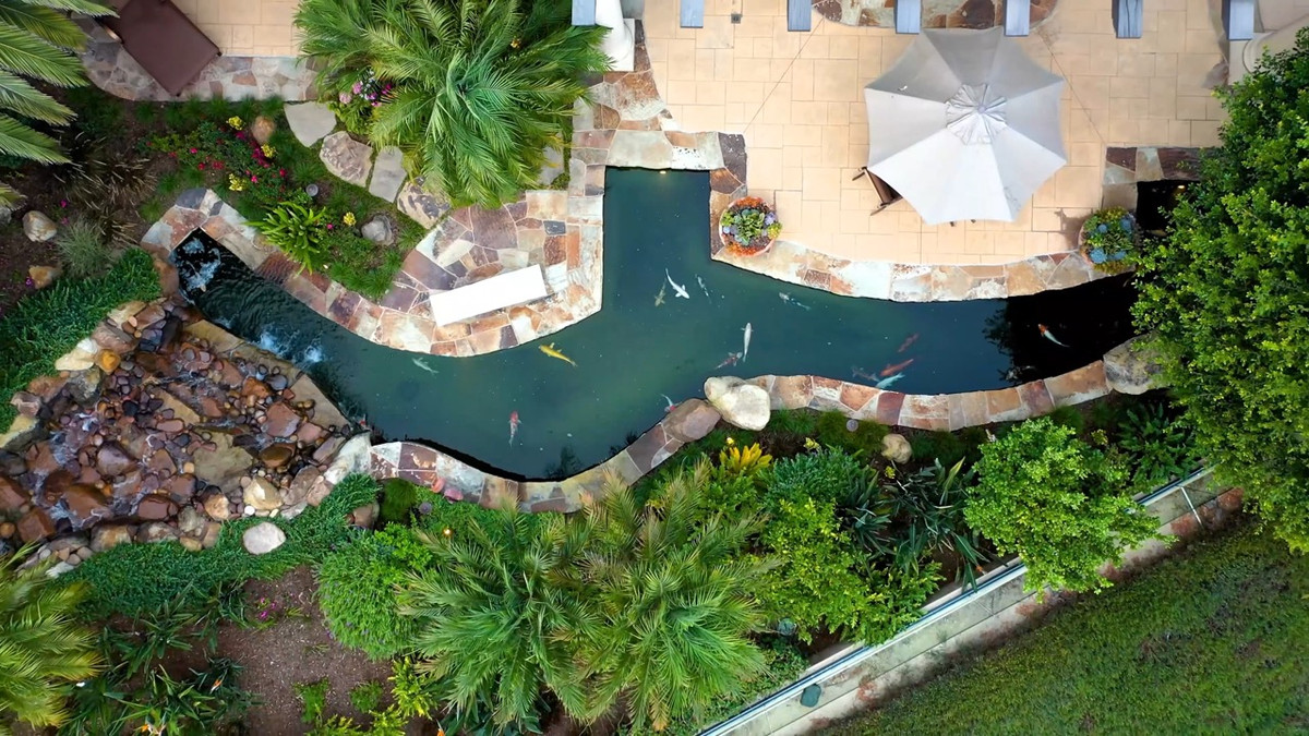 Trong khuôn viên biệt thự còn có hồ cá Koi đẹp mắt.