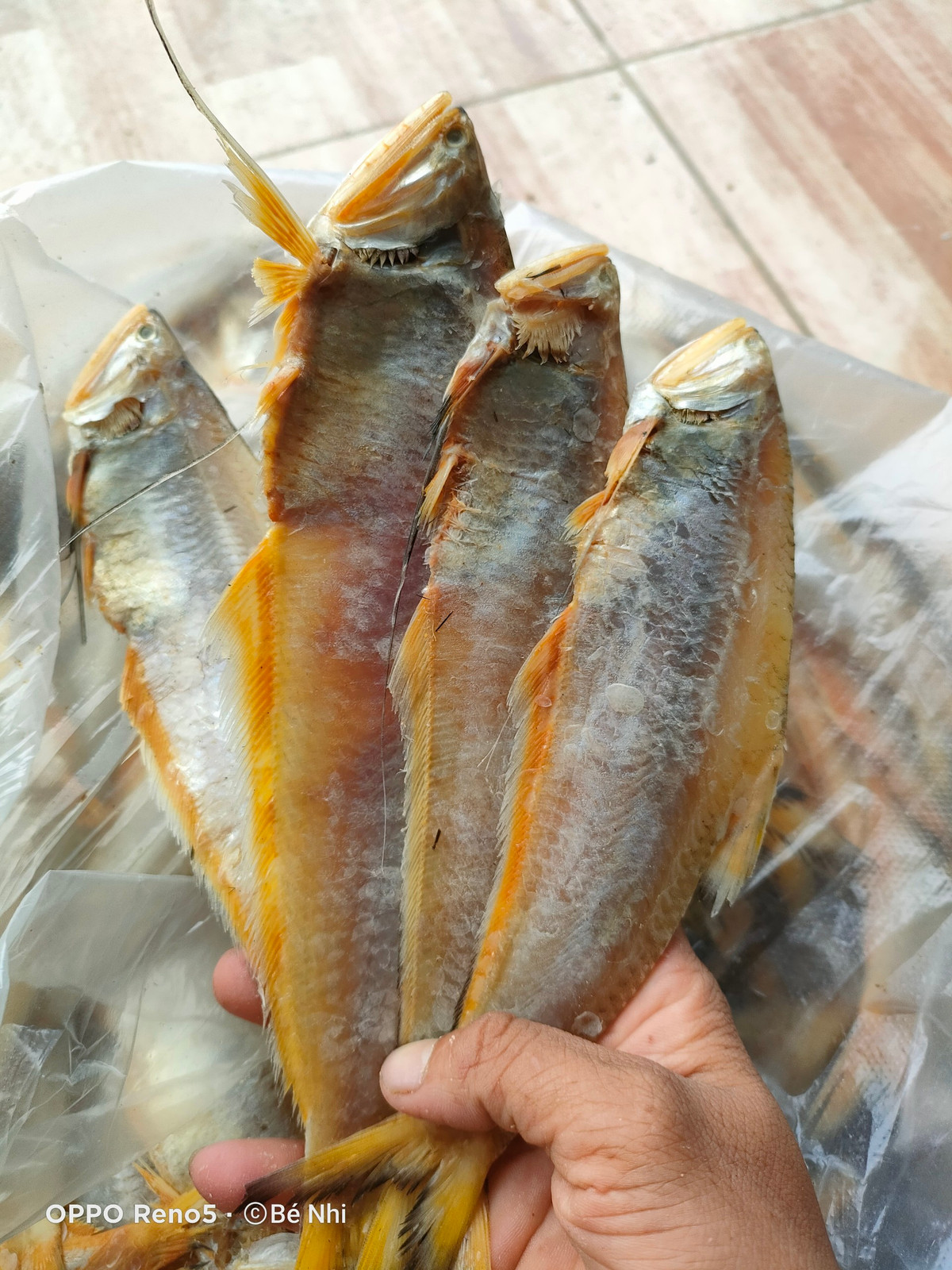 Trên thị trường, khô cá lẹp có giá 140.000 đồng/kg và trở thành đặc sản được ưa chuộng. Ảnh: Lazada