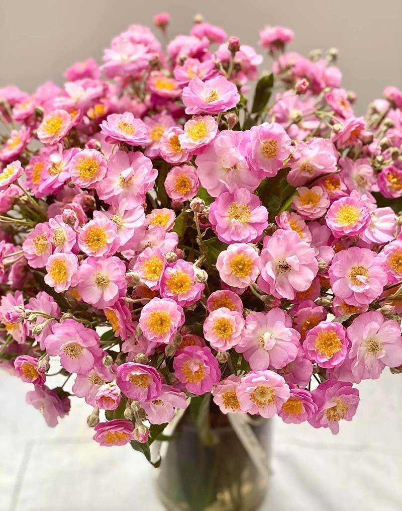 Trên các hội nhóm, chị em nô nức khoe những bình tầm xuân xinh xắn do chính tay mình cắm.