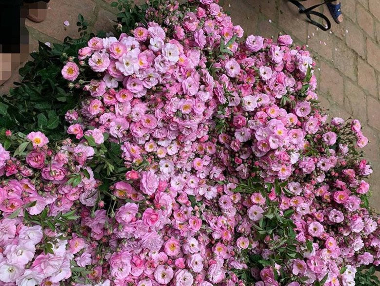 Theo chủ một cửa hàng hoa ở Thanh Xuân (Hà Nội), hồng tầm xuân nở theo mùa, mỗi năm chỉ có một mùa, thường vào khoảng tháng 2 - 3 dương lịch.