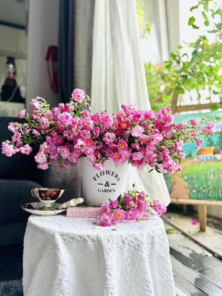 Chị Thanh (Cầu Giấy, Hà Nội) cho biết, khác với giống hoa hồng thông thường, hồng tầm xuân rất sai hoa, cành nào chi chít nụ.