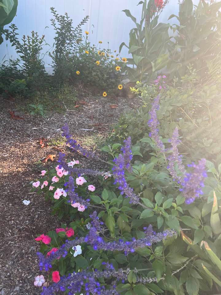 Trên trang cá nhân, bầu sô Liên Phạm - vợ cũ của Đàm Vĩnh Hưng vừa khoe cảnh sắc trong khu vườn nhà tại Mỹ khiến nhiều khán giả trầm trồ.