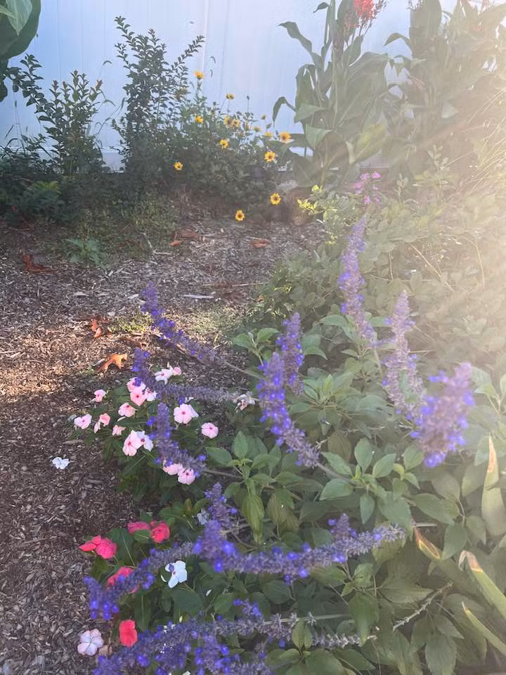 Trên trang cá nhân, bầu sô Liên Phạm - vợ cũ của Đàm Vĩnh Hưng vừa khoe cảnh sắc trong khu vườn nhà tại Mỹ khiến nhiều khán giả trầm trồ.