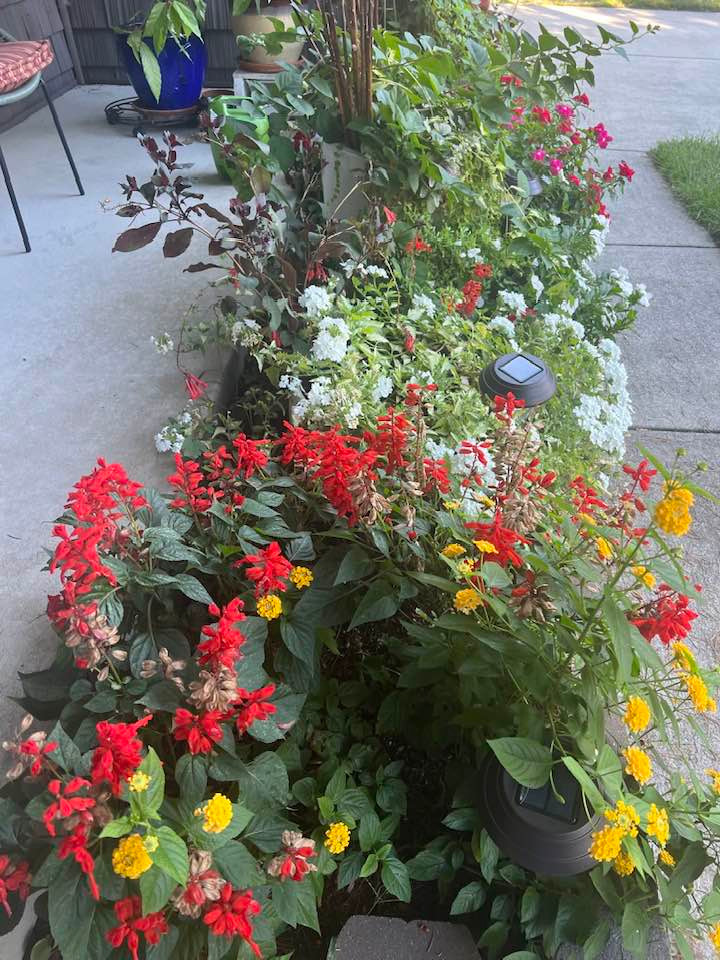 Được biết, khu vườn nằm trong cơ ngơi của bà Liên Phạm tại thành phố Atlantic (Mỹ).