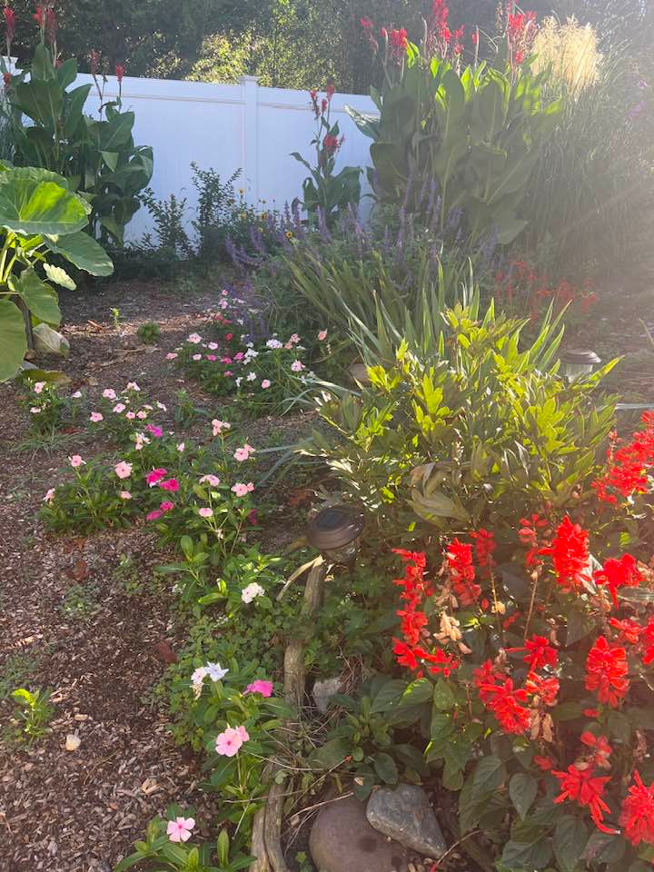 Trong một buổi sáng bình yên ngày cuối tuần, khu vườn trong nhà bầu số Liên Phạm ngập tràn sắc hoa.