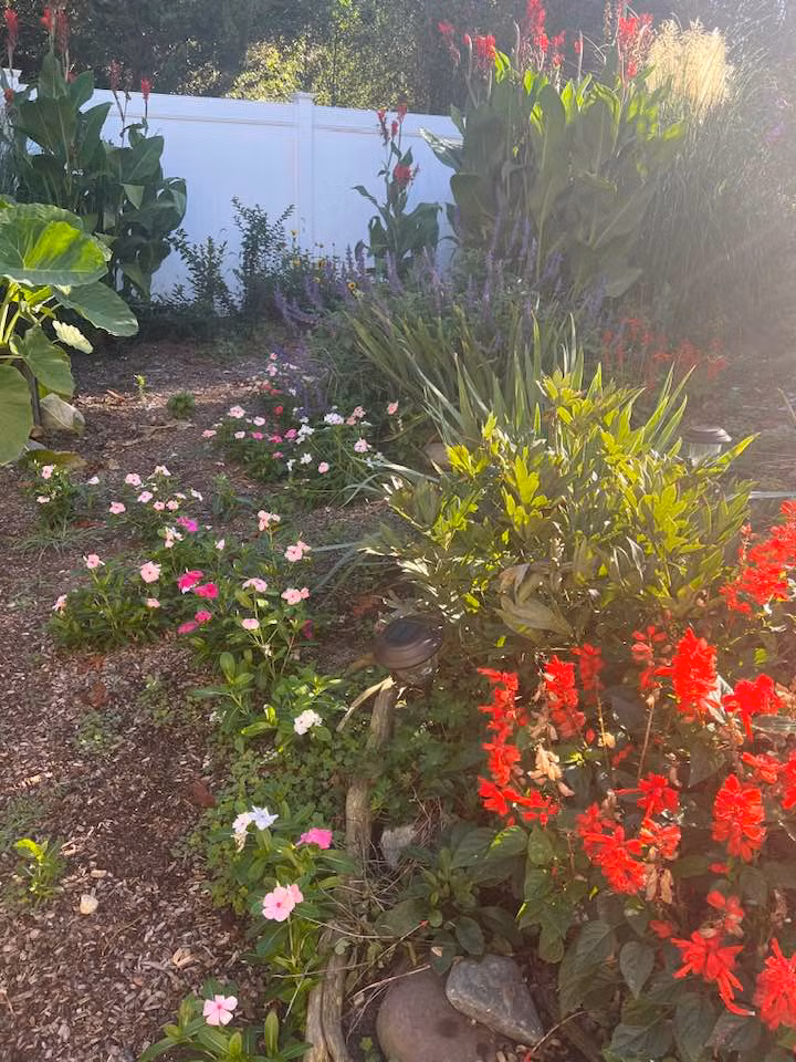 Trong một buổi sáng bình yên ngày cuối tuần, khu vườn trong nhà bầu số Liên Phạm ngập tràn sắc hoa.