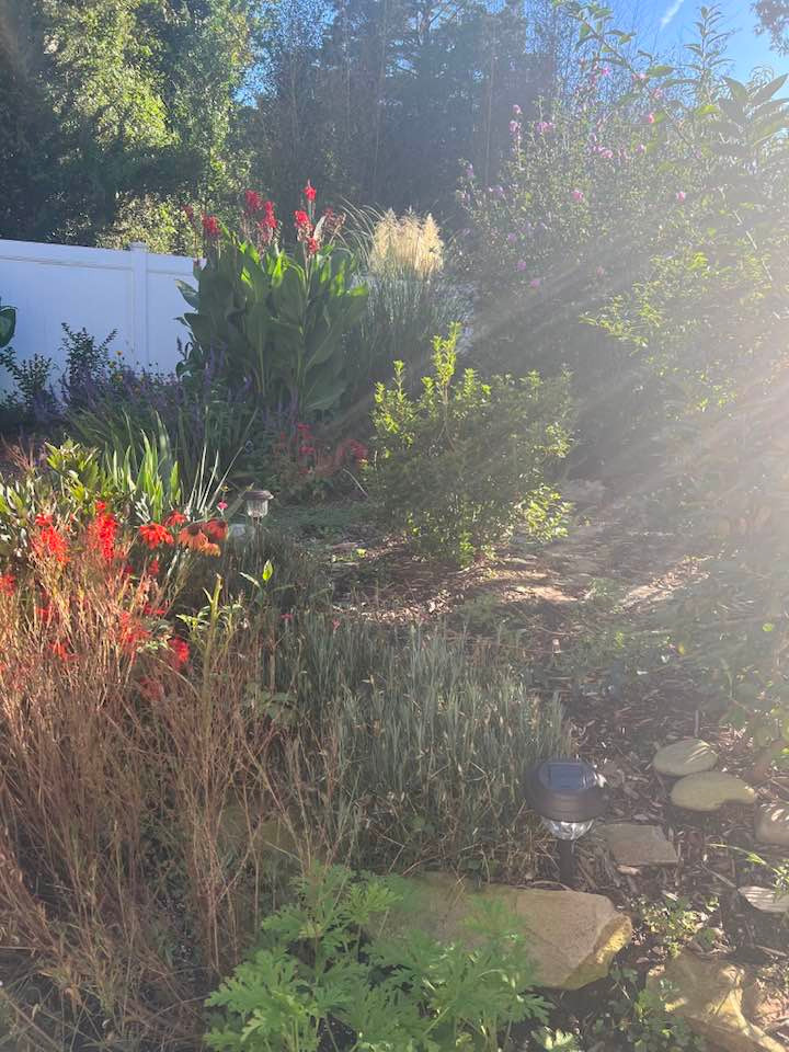 Bà bày tỏ: "Thung lũng hoa và tình yêu của Liên Phạm đây cả nhà ơi".