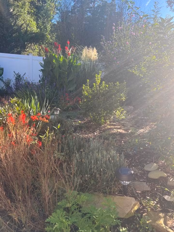 Bà bày tỏ: "Thung lũng hoa và tình yêu của Liên Phạm đây cả nhà ơi".