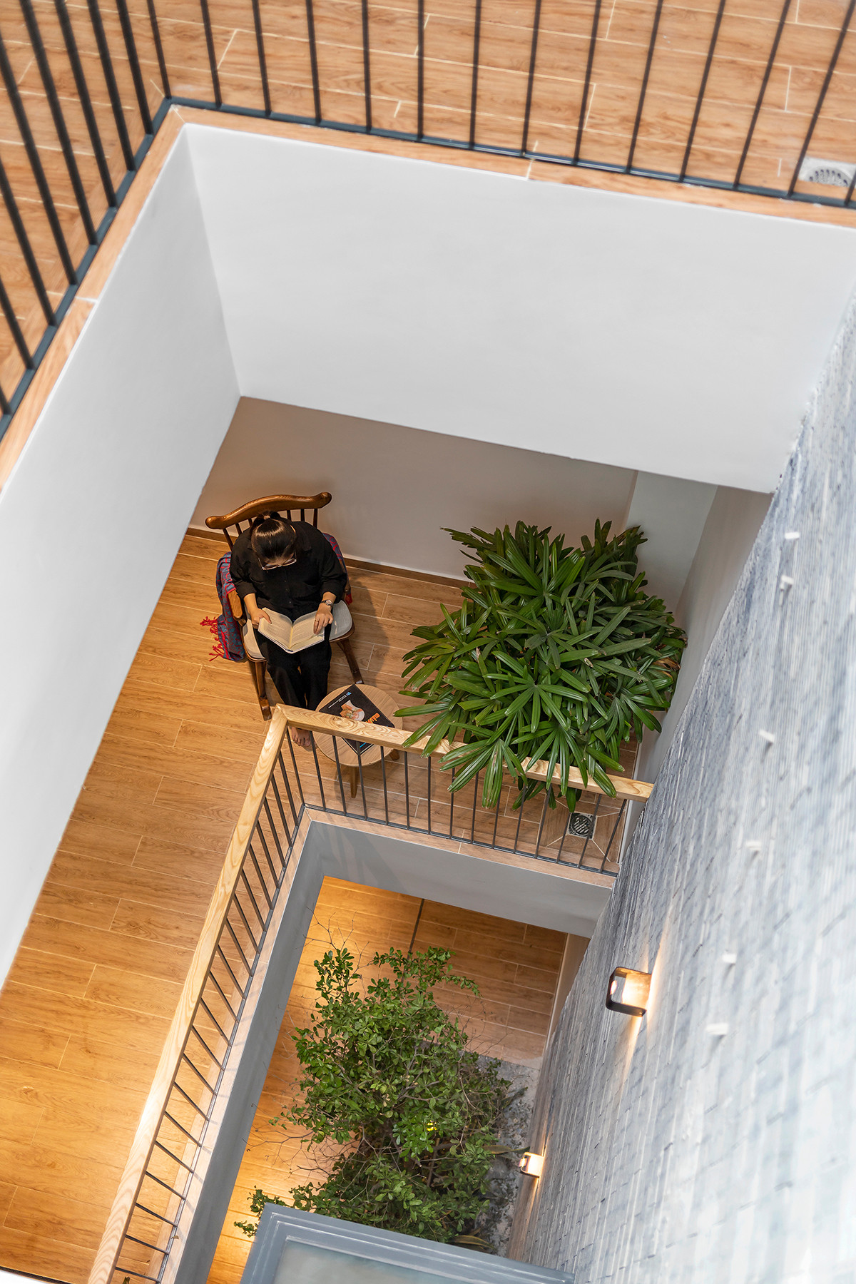 Cây xanh được trồng len lỏi vào từng không gian bên trong nhà như giếng trời, hành lang, sân trong, ban công và sân thượng phía trước.