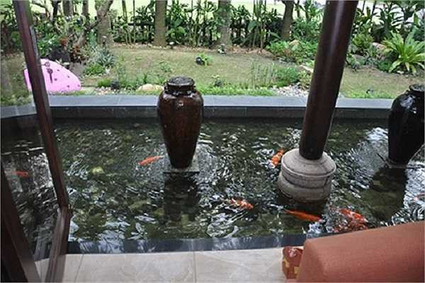 Khuôn viên căn biệt thự còn có khu vườn rộng, hồ cá Koi. Ảnh: Internet