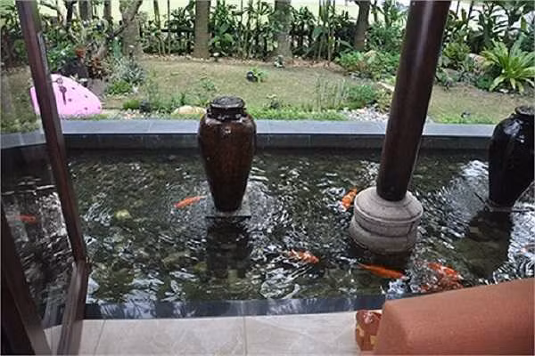 Khuôn viên căn biệt thự còn có khu vườn rộng, hồ cá Koi. Ảnh: Internet