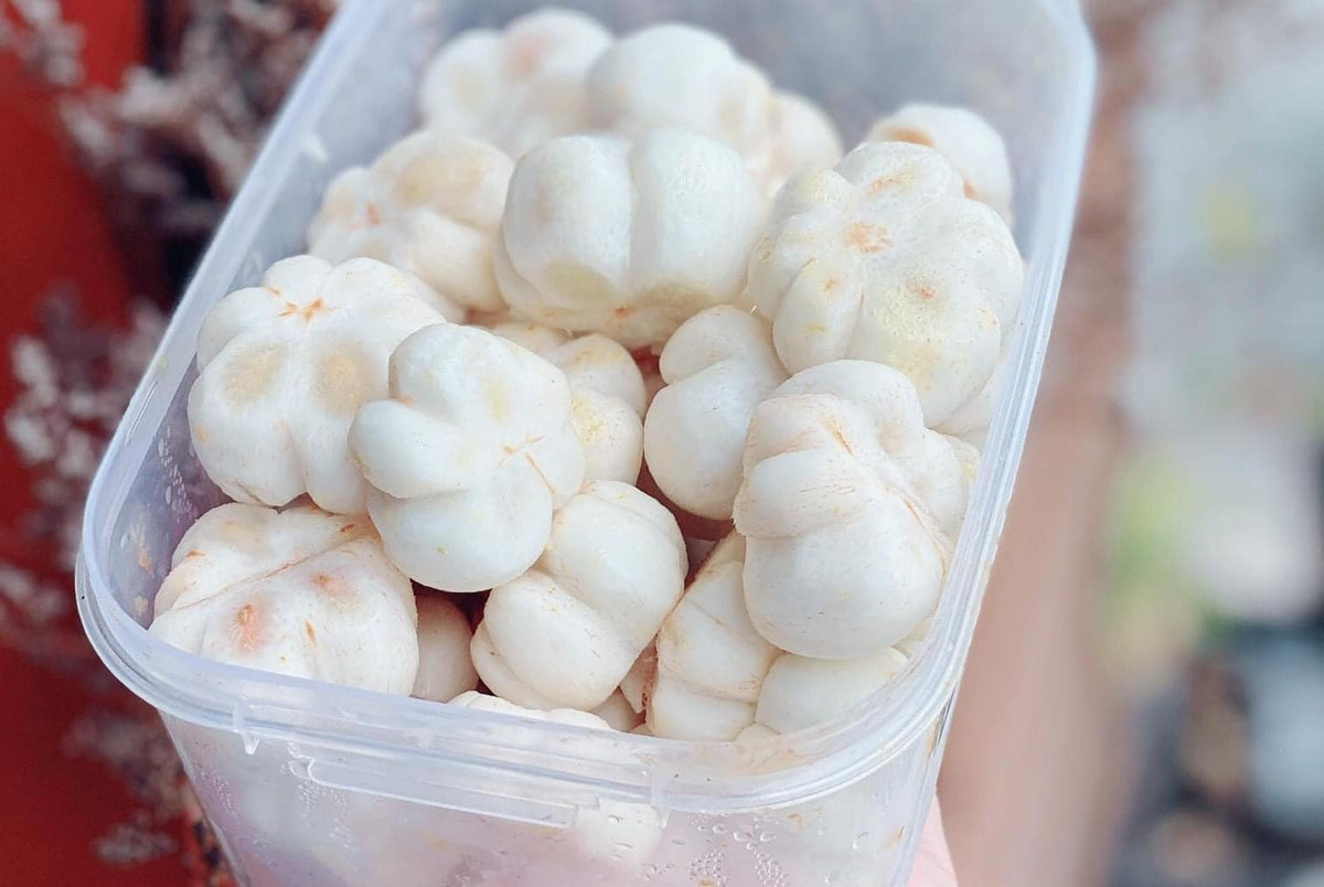 Công đoạn gọt măng cụt xanh cũng không đơn giản. Nhựa măng cụt xanh rất nhiều, phải gọt dưới vòi nước để tránh bị thâm. Ảnh: Facebook