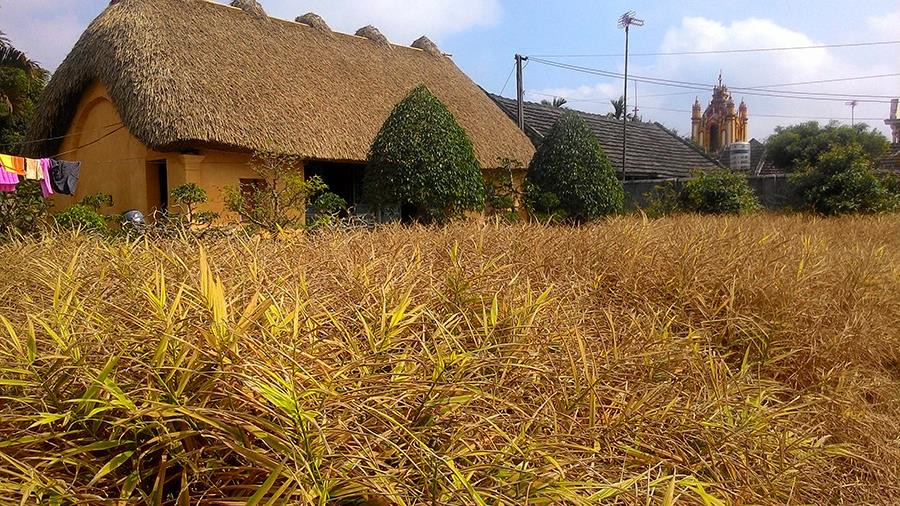 Trải qua hơn 40 năm nhưng đến nay ngôi nhà vẫn rất chắc chắn, chỉ có mái rạ là 5 năm thay một lần. Ảnh: SVietnam